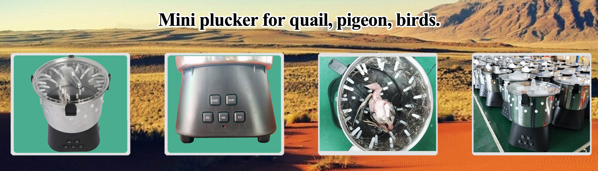 Plucker, birds plucker, quail plucker